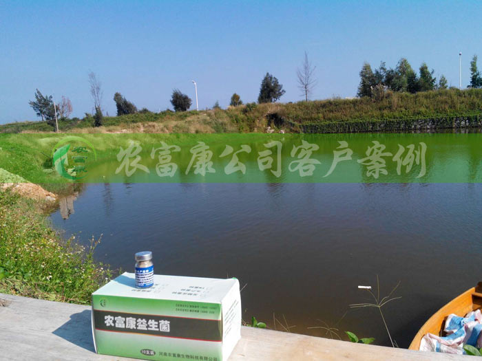 水產(chǎn)專(zhuān)用em菌種