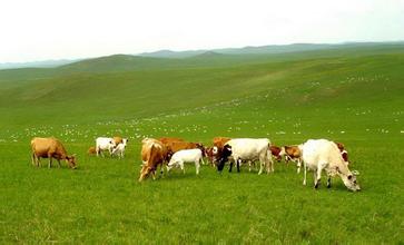 農(nóng)富康em菌液 農(nóng)富康em菌液